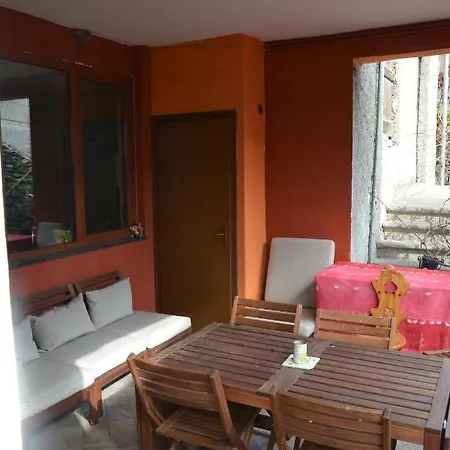 Apartament Tata Carota *